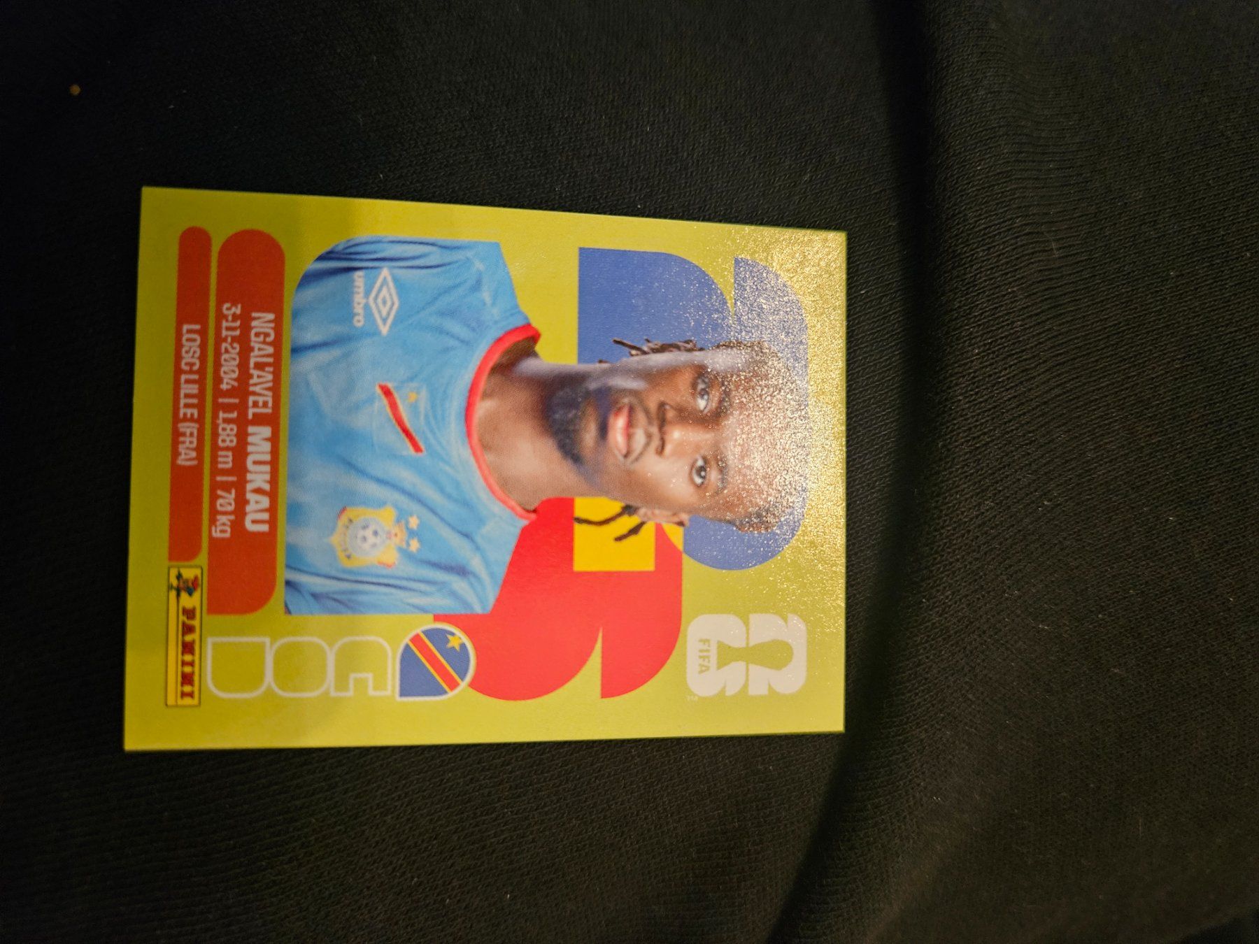 Panini Carte collezionabili: COD9 – Usato da Würenlingen venduto da Dinli