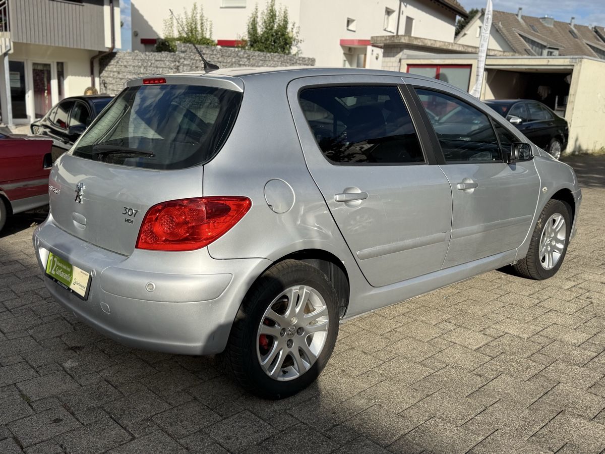 Peugeot Autos: Peugeot 307 HDI – D'occasion à Wetzikon ZH par DugiM3 2