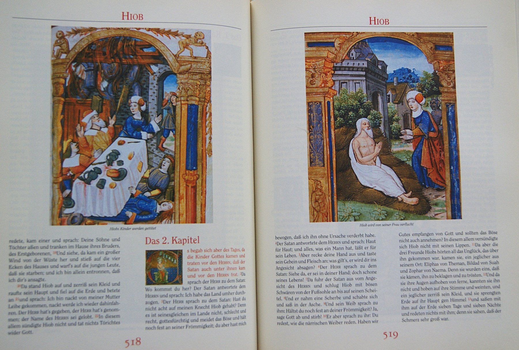 Livres: DIE BIBEL – D'occasion à Stadel par Wald100 7