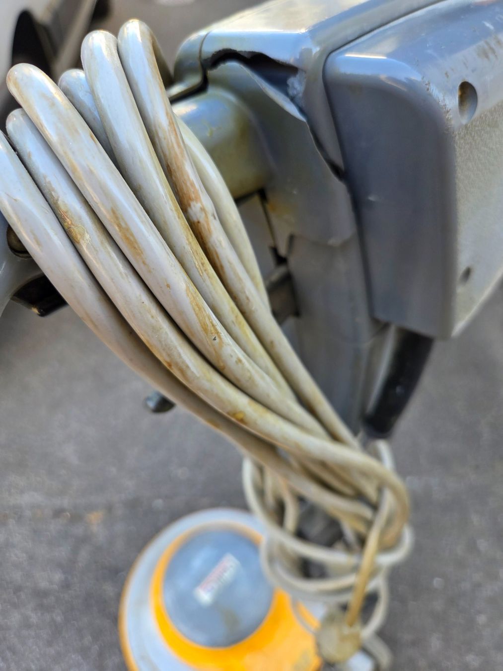 Alle Maschinen: einscheibenmaschine – Gebraucht aus Zürich von Sandrine_9 1