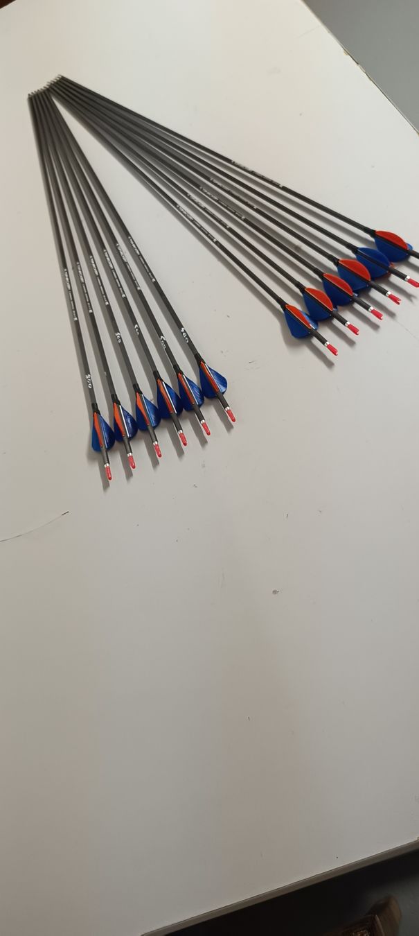 Tiro con l'arco: Carbon Pfeile – Usato da Rothrist venduto da Pfadfinder03