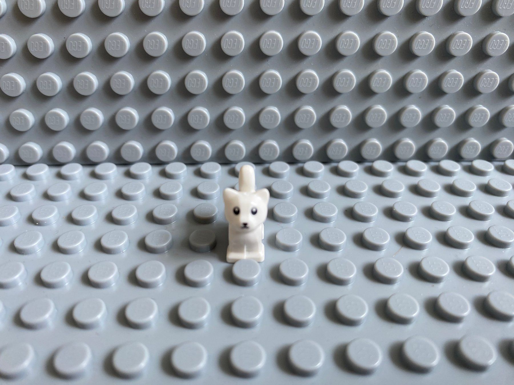 Lego Baukästen: Lego Tiere - Katze Baby – Neu (gemäss Beschreibung) aus Horw von G39517sG 2