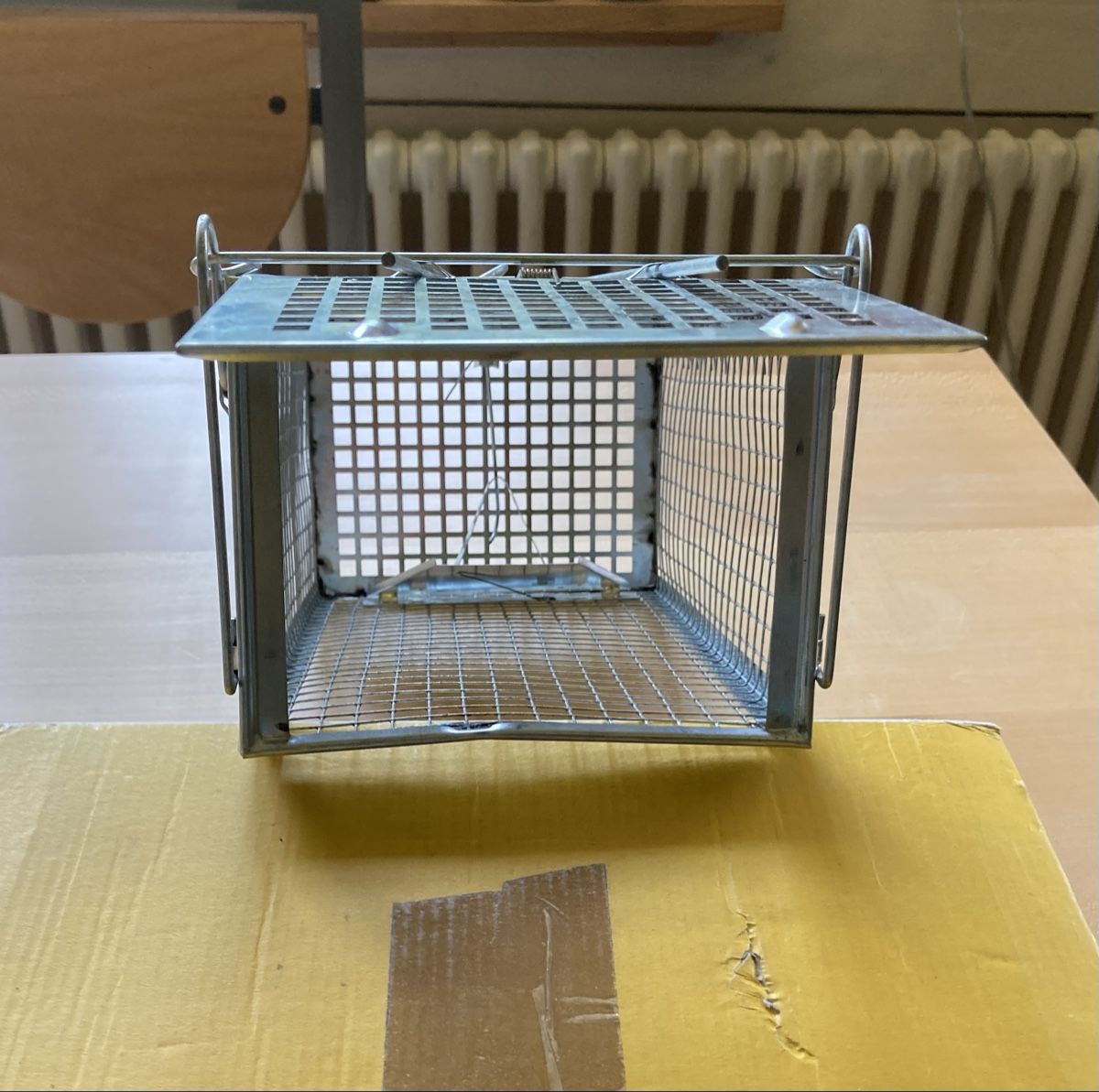 Gabbie, trasporto & Sicurezza: Mäuse und Rattenfalle – Usato da Wädenswil venduto da sayyes 1