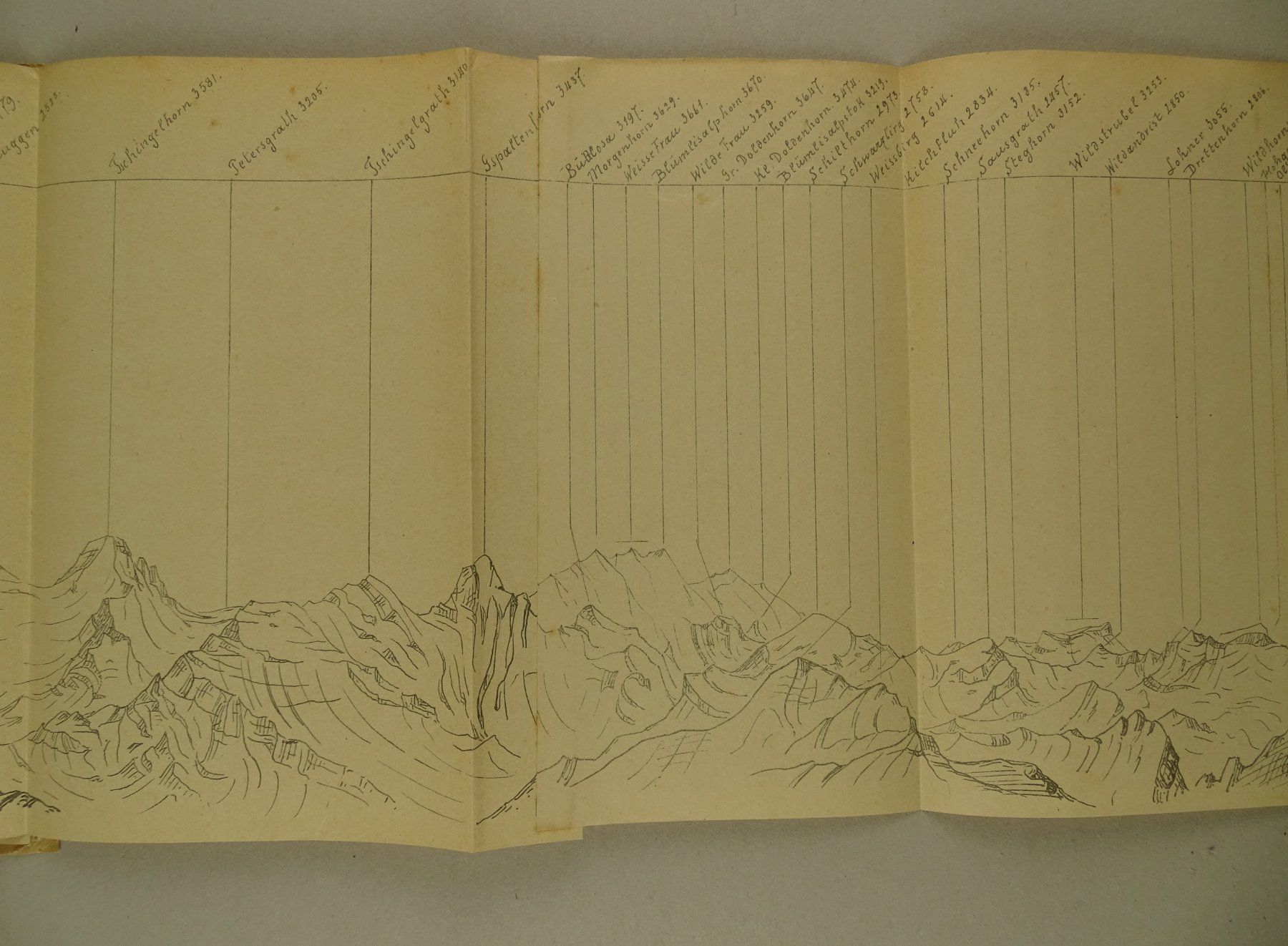 Incisioni: PANORAMA FAULHORN, 1890, BERN – Usato da Grüningen venduto da Kartensammler 8