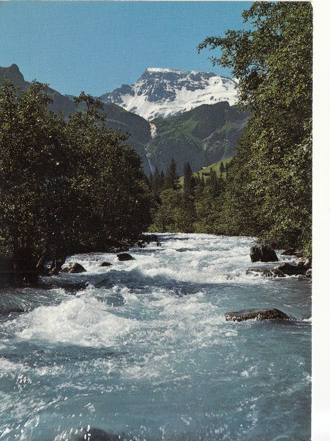 Cartoline postali: Engstligbach 1987 – Usato da Bürglen TG venduto da StampGraf