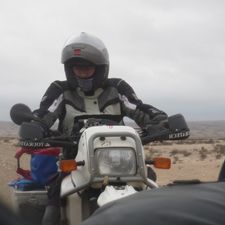 Profile image of Fribo