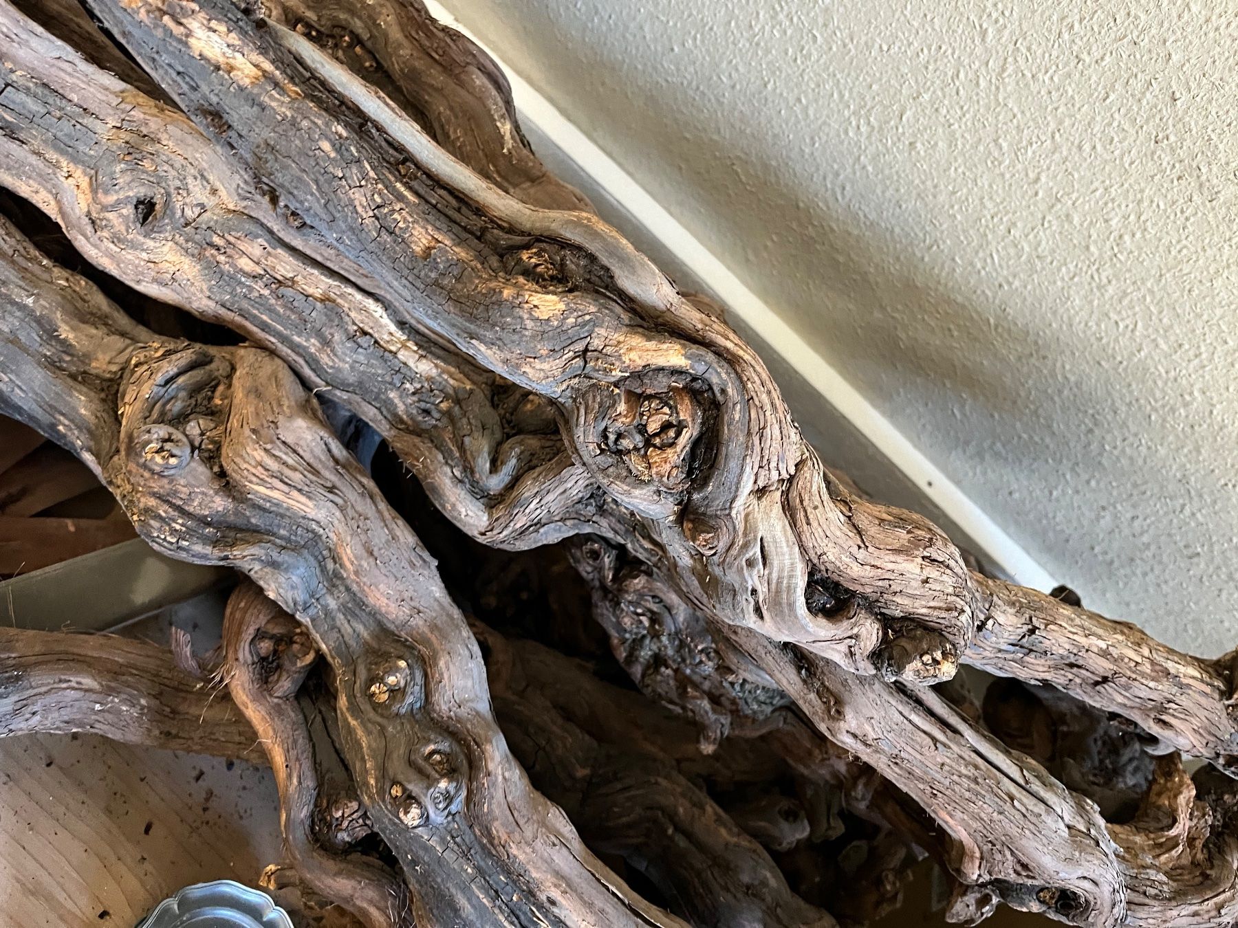 Terrario: Terrarium Rebenholz – Usato da Weisslingen venduto da Eniclote 2