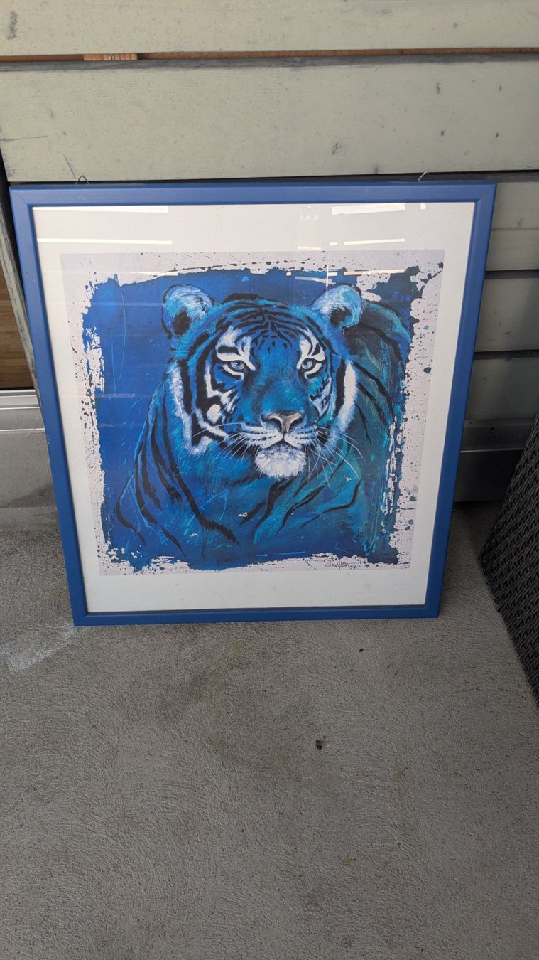 Foto & Immagini: Rolf Knie "Tiger" – Usato da Aarau Rohr venduto da Zmille