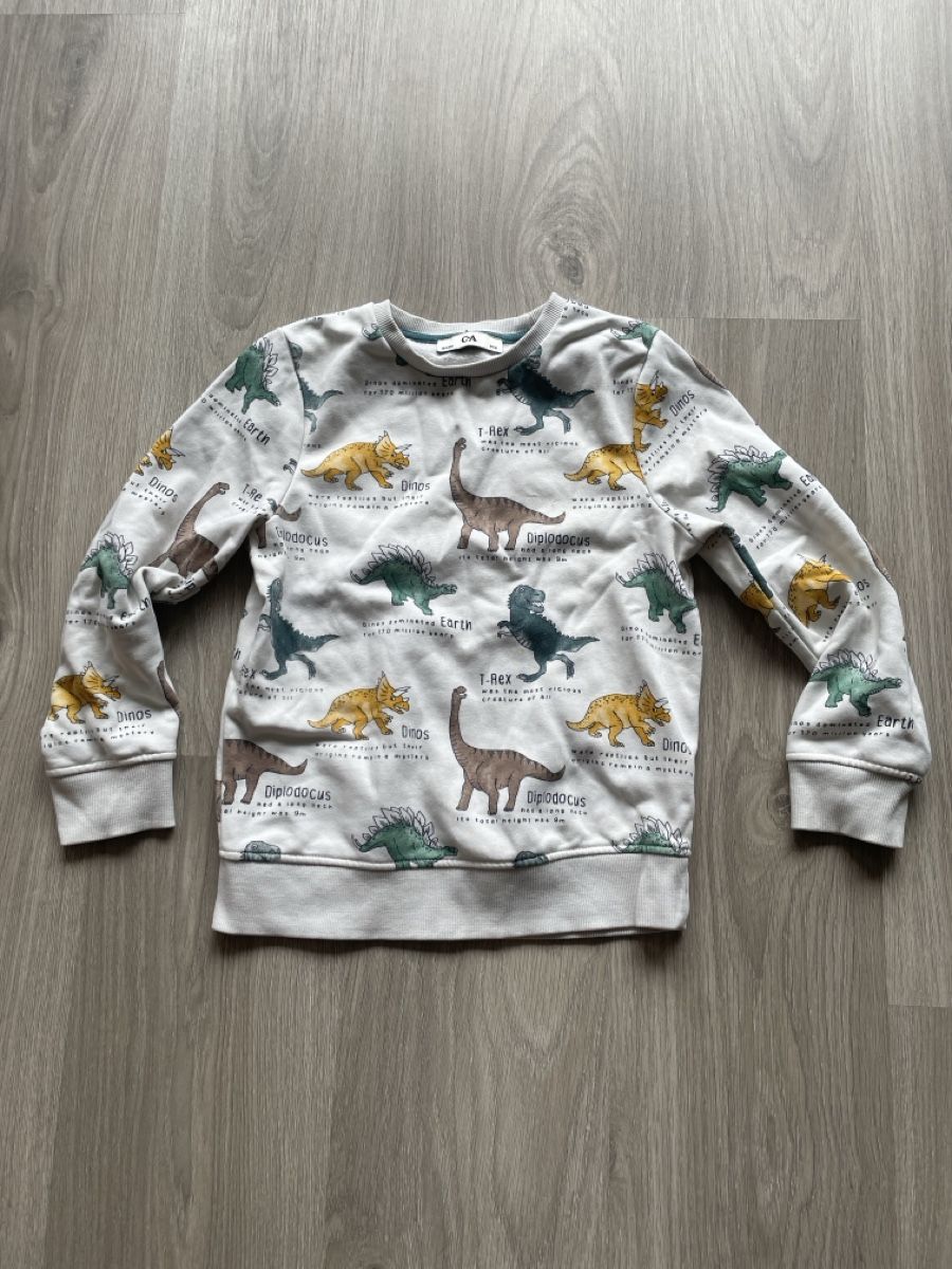 H&M Maglioni & Felpe: Süsser Dino Pullover , Grösse 134 – Usato da Biel/Bienne venduto da Bolagol9