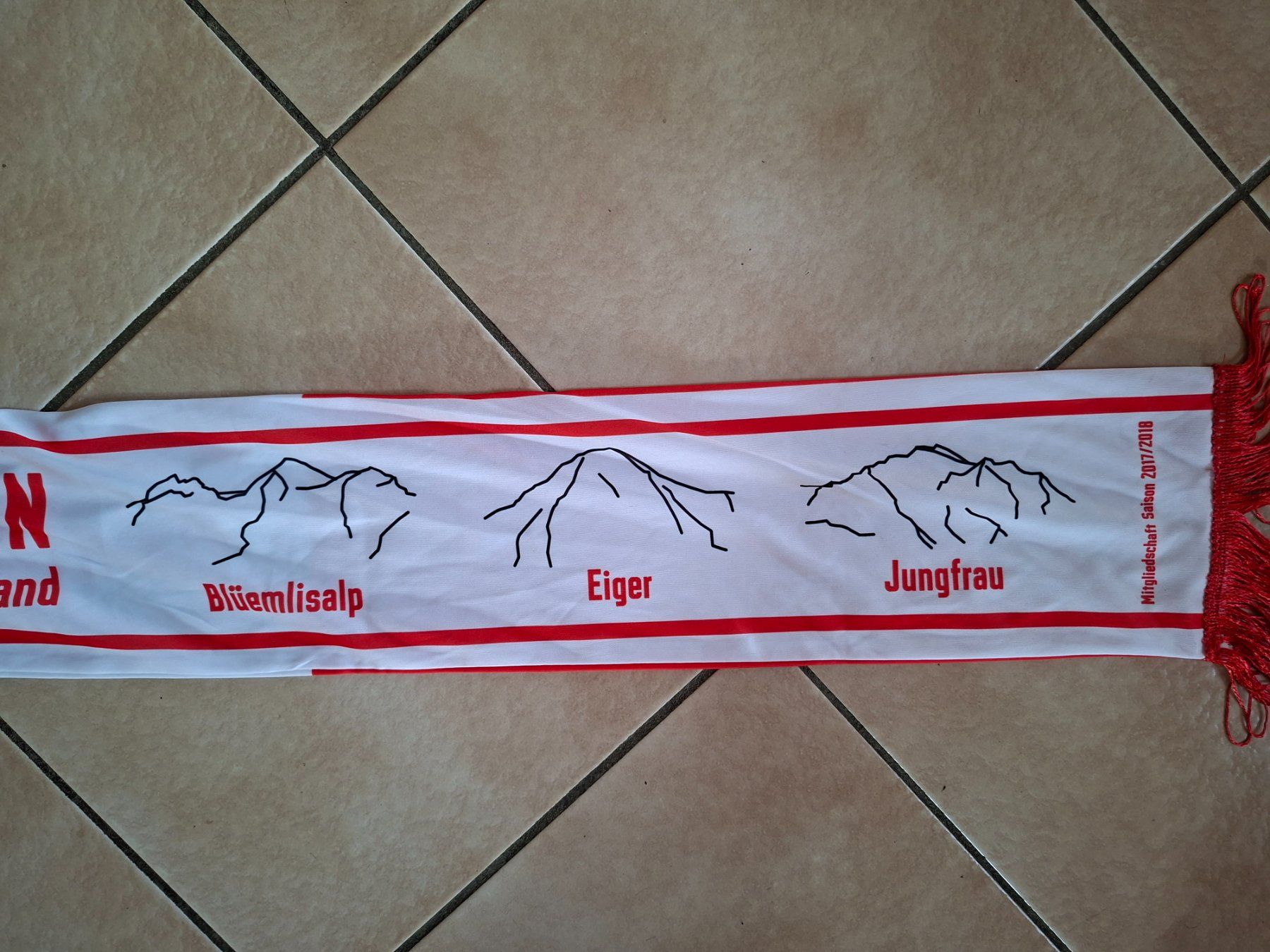 FC Thun Foulard & Sciarpe: FC Thun Fan Schal – Usato da Schwanden Sigrisw venduto da cadieux71 4