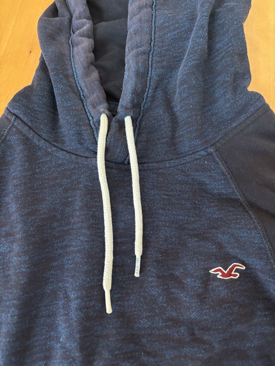 Maglioni & Felpe: Hollister Hoodie Blue – Usato da Chexbres venduto da doe_xns6 1
