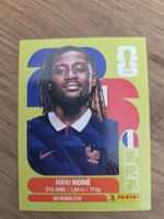 Panini Sticker 2026 FRA 11