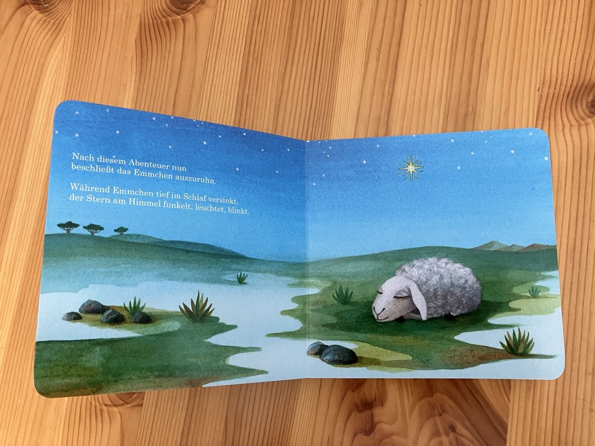 Libri: Wendebuch: Emmchen & Waldemar - Weihnachtsgeschichte – Usato da Goldau venduto da daytona82 3