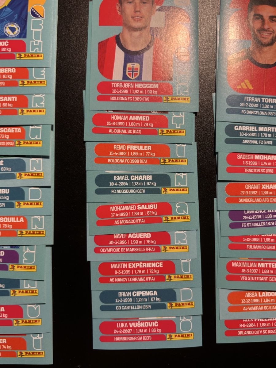 Panini Carte collezionabili: Panini World Cup 2026 Stickers Collection Bundle – Nuovo (secondo la descrizione) da Ascona venduto da ElfieLove 2