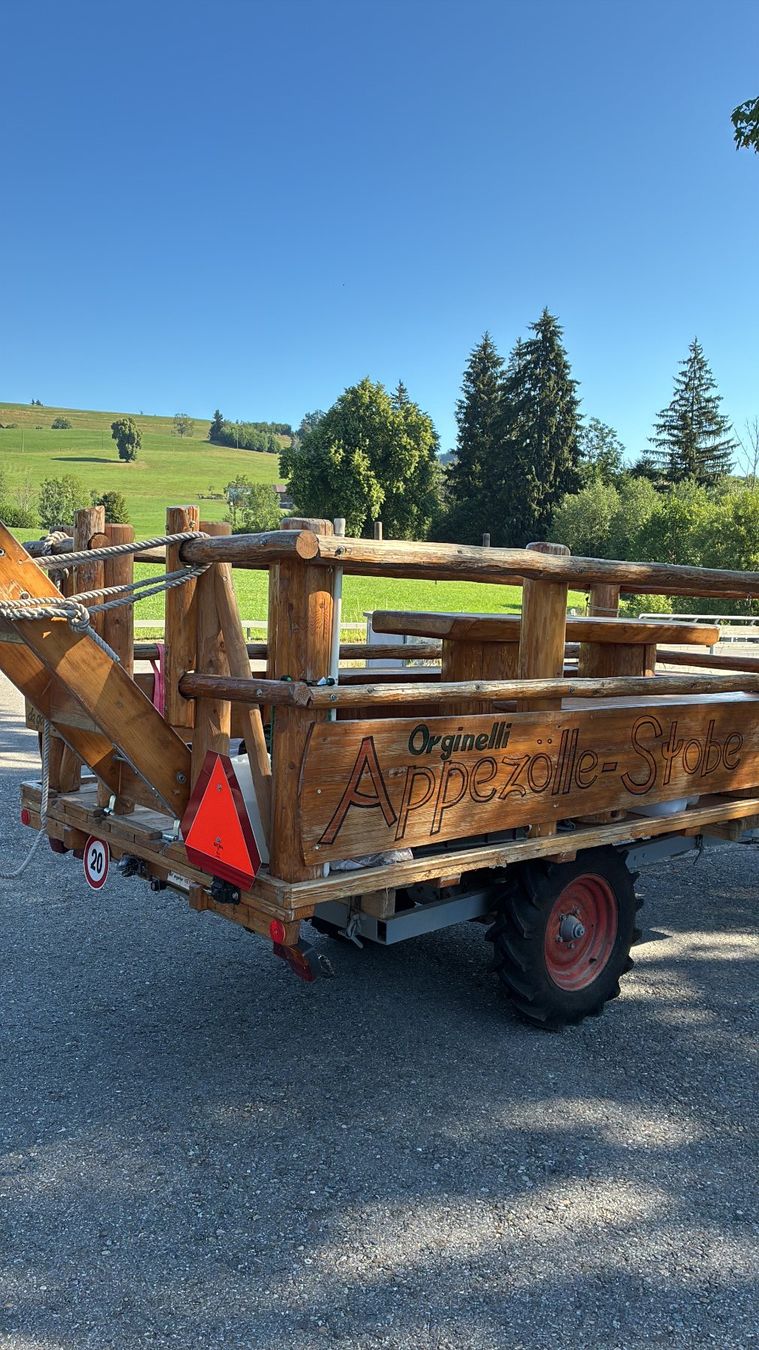 Rapid Tutte le macchine: Rapid mitt Geselschatswagen – Usato da Gais venduto da Heira 3