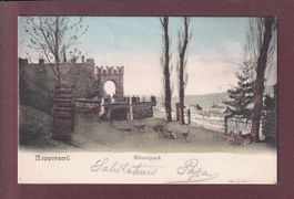 RAPPERSWIL - Hirschpark - 1906
