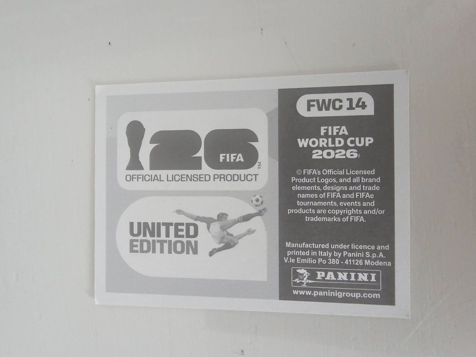 Panini Carte collezionabili: Fwc 14 – Usato da Pregassona venduto da sig_6v2k 1