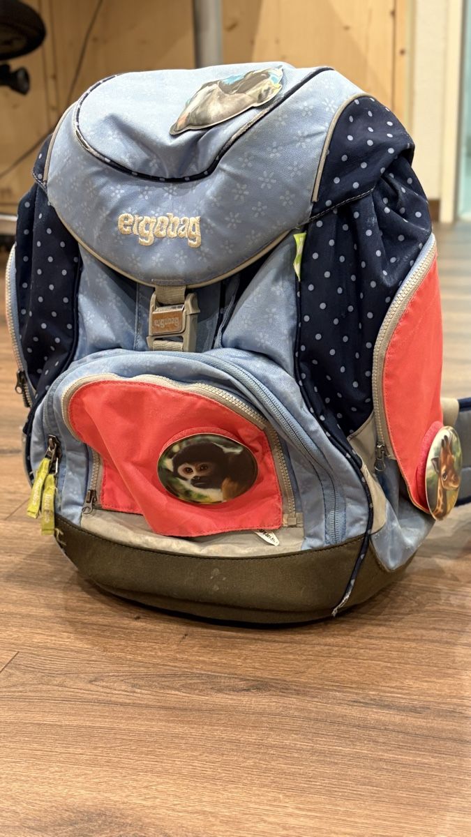 Ergobag Borse & Zaini: Ergobag Schulthek – Usato da Freienstein venduto da nwinter78