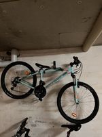 Velo