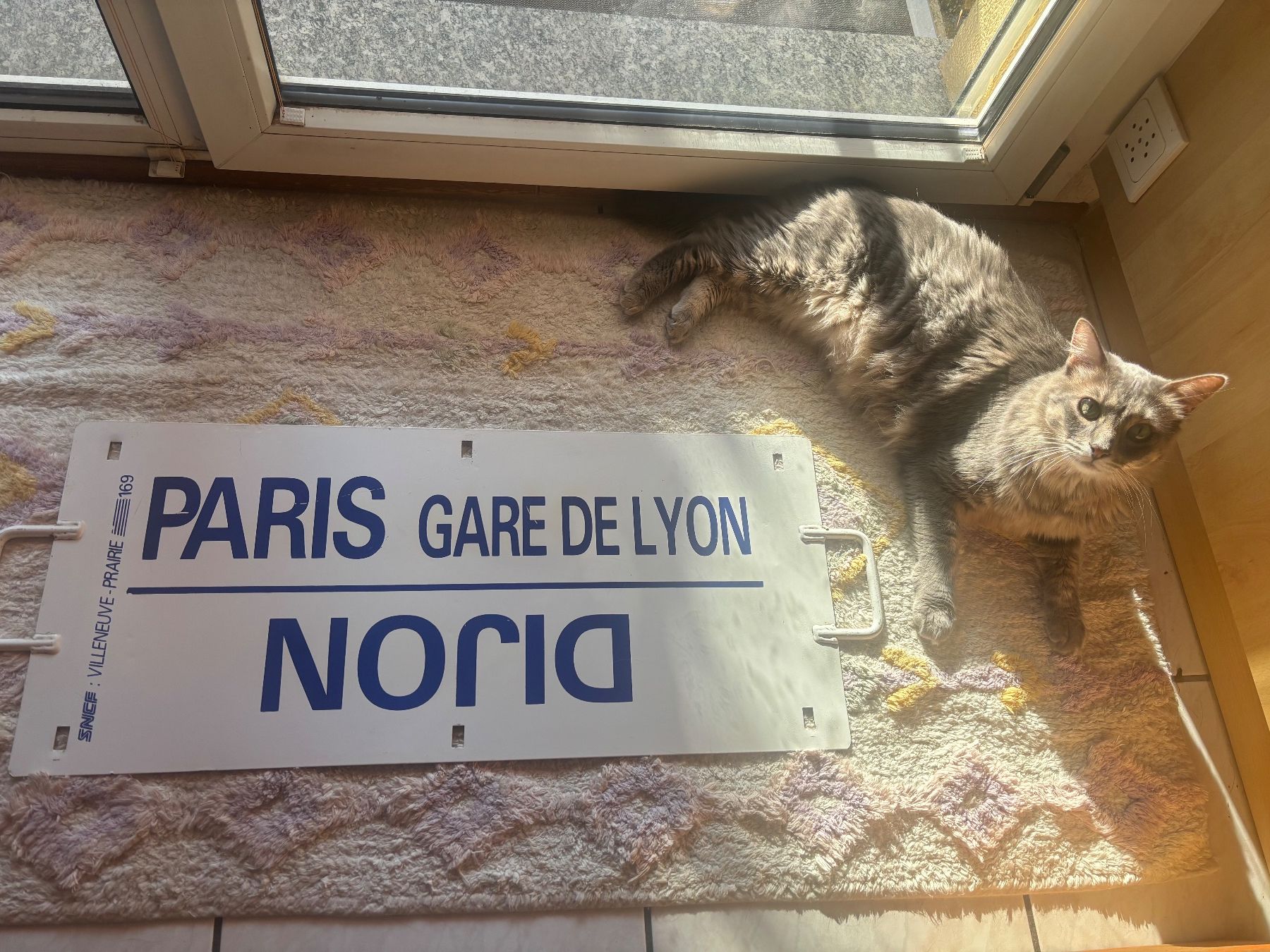 SNCF Schilder: Grande plaque de train – Gebraucht aus Orbe von car_8grw 4