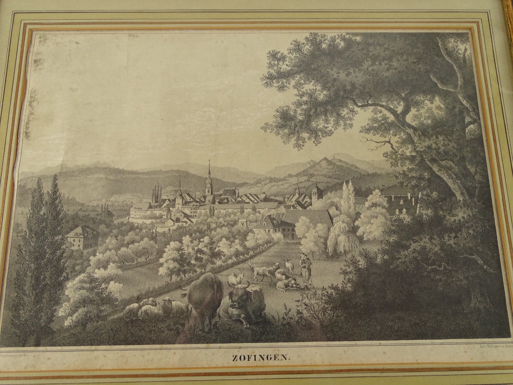 Stiche: ZOFINGEN, GROSSE LITHOGRAPHIE UM 1850 – Gebraucht aus Grüningen von Kartensammler 1