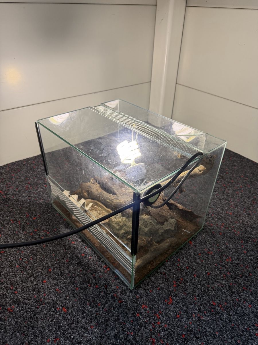 Terrarium: Terrarium Glas beschädigt – Gebraucht aus Heimiswil von Mad2mad 2