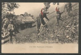 Carte P ( Faucheuses à Champéry )
