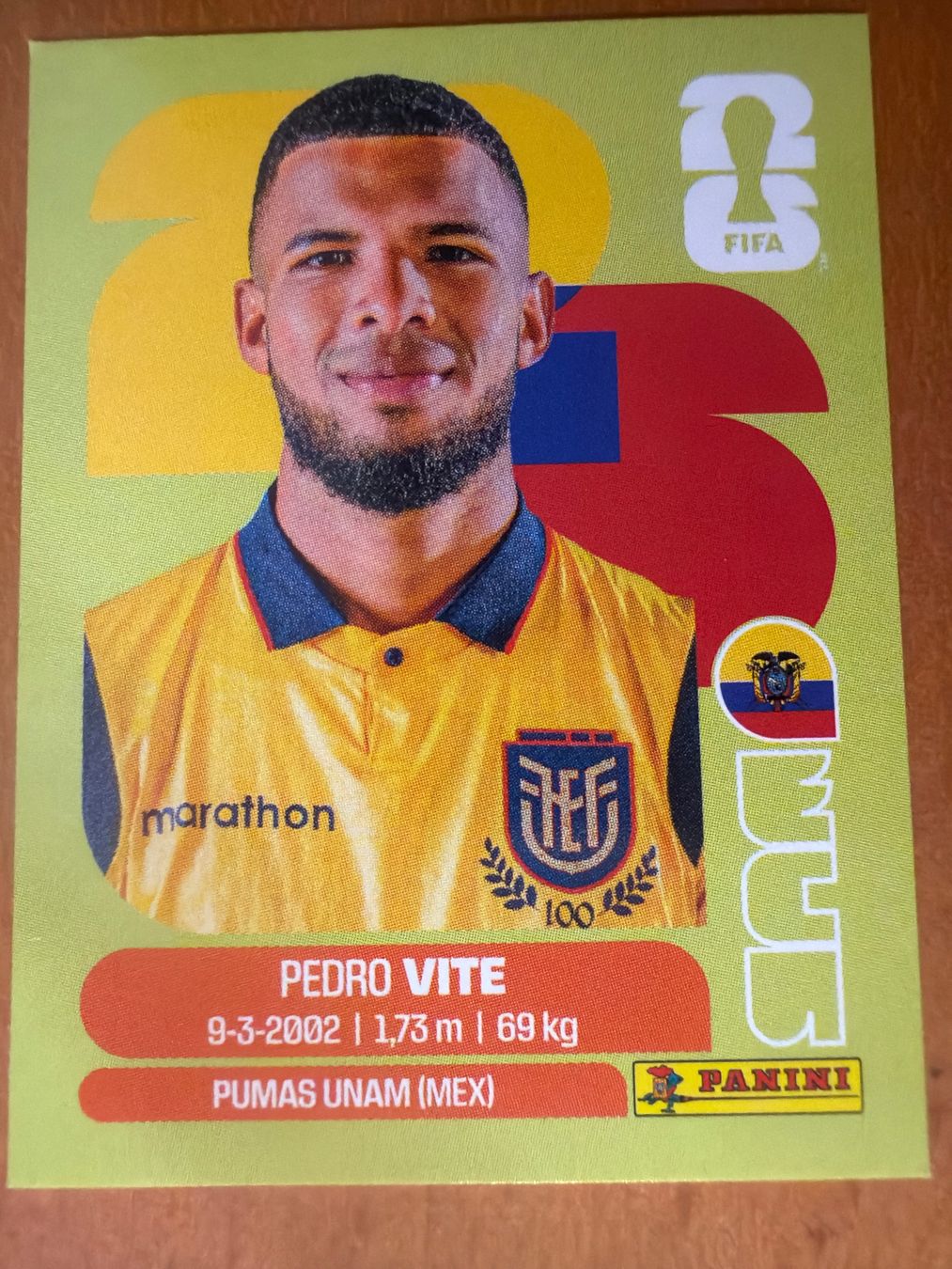 Panini Cartes à collectionner: Panini ECU12 – Neuf (Voir description) à Susten par Rechnun