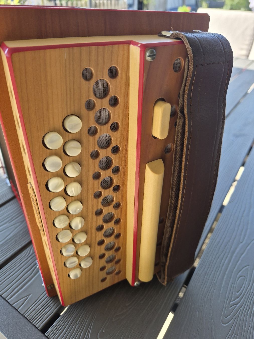 Eichhorn Instruments de musique: Schwyzerörgeli Eichhorn Junior – Neuf (Voir description) à Immensee par modi2000 2