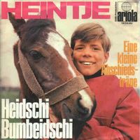 Heintje - Heidschi Bumbeidschi  (7")