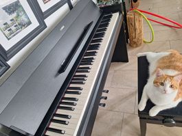E-Piano Yamaha/Arius YDP-S52