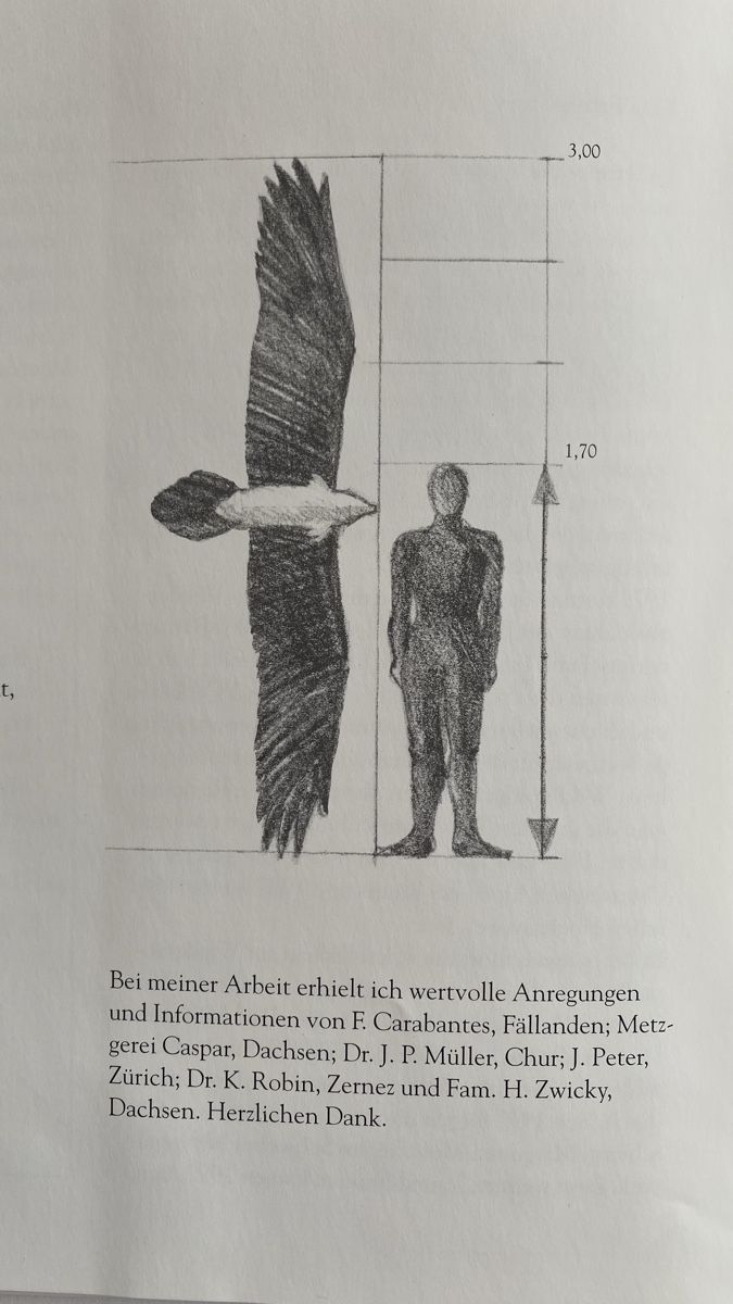 Libri: Bartgeier Bild und Dokumentation – Nuovo (secondo la descrizione) da Stetten SH venduto da Christian_Stetten 3