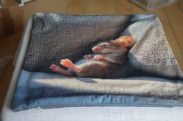 FOURRE COUSSIN NEU - CM 45X42