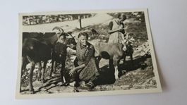 Klausenstrasse - Urnerin beim Melken - Ziegen - 1937
