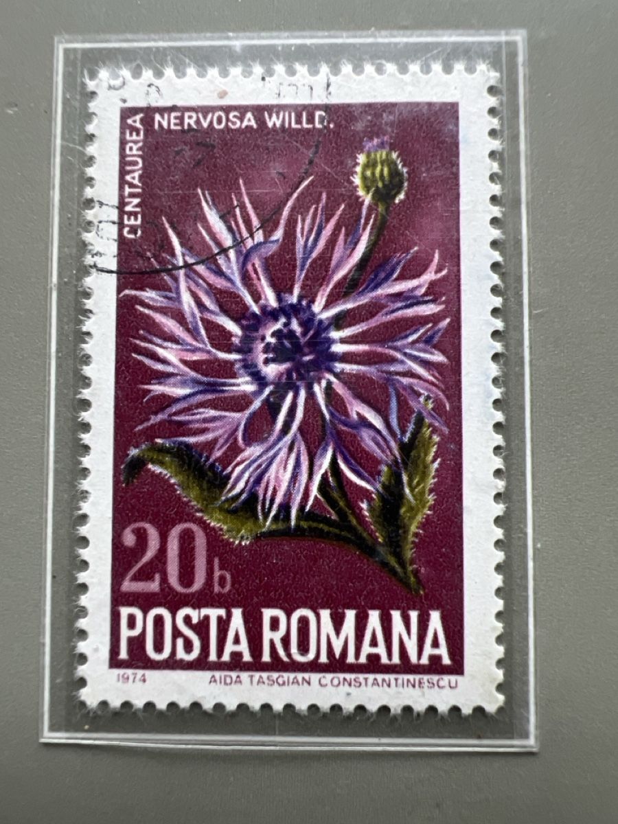 Tutti i francobolli: Briefmarken Rumänien  – Usato da Glattbrugg venduto da Artos67 1