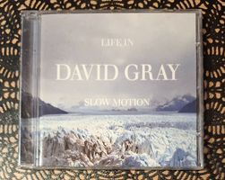 David Gray - Life In Slow Motion, UK Folk Rock CD Album 2005
