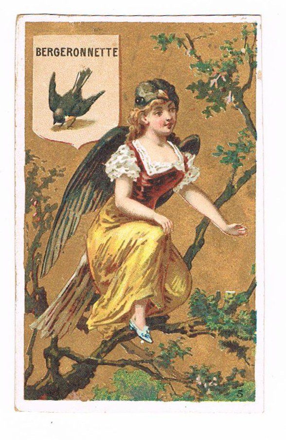 Cartoline postali: Cartes - Chromo – Usato da Genève venduto da edelweiss1900 1