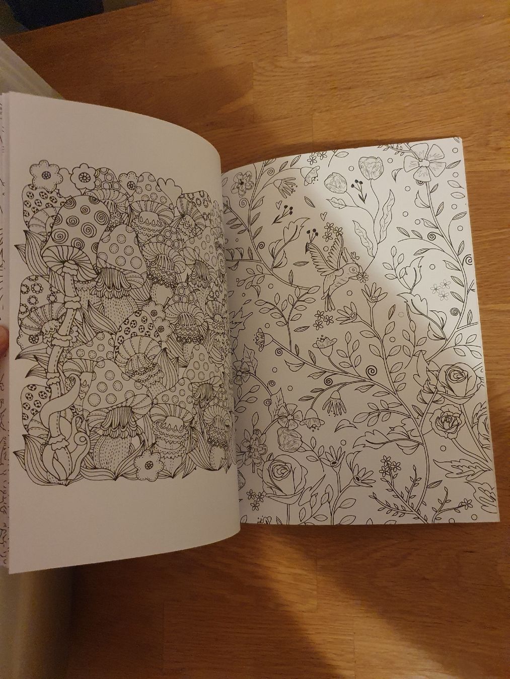 Libri: New Coloring Book Mermaid Fish Shells Unicorn – Nuovo (secondo la descrizione) da Sirnach venduto da eftix 2