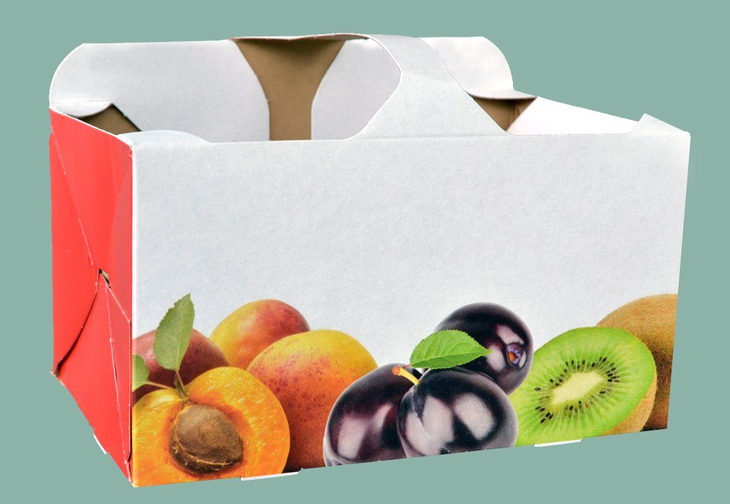 Cibi & Specialità: Fruchtschalen 1 kg – Nuovo e nell'imballaggio originale da Lauperswil venduto da oeko-sack