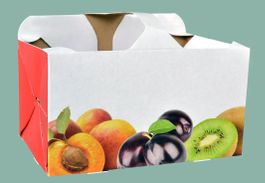 Fruchtschalen 1 kg