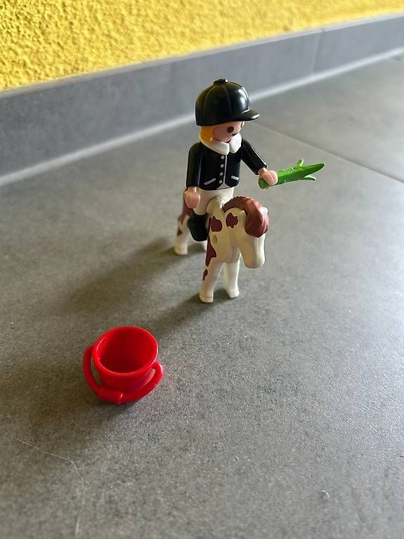Giocattoli: PLAYMOBIL Pferdemädchen komplett – Usato da Gams venduto da Nici23456