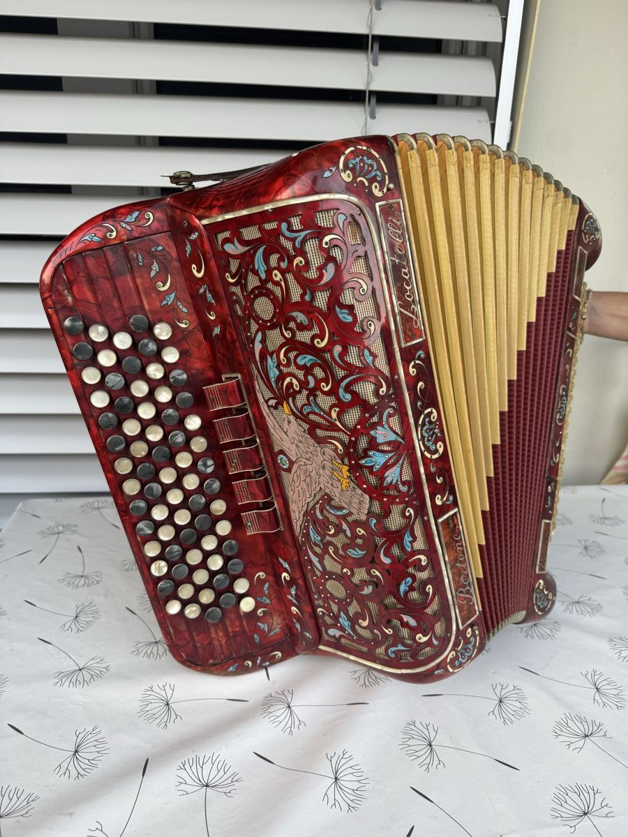 Strumenti musicali: Akkordeon Bertone Locatelli – Usato da Biberist venduto da Pilz10 1