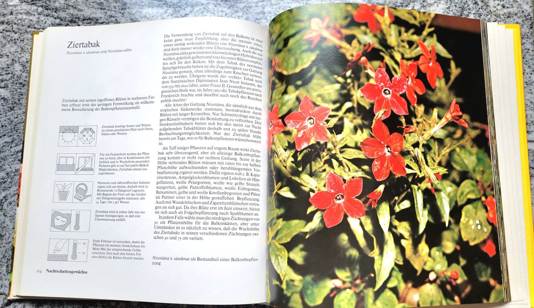 Libri: Unsere Balkonpflanzen – Usato da Oberuzwil venduto da rtr_wp6m 3