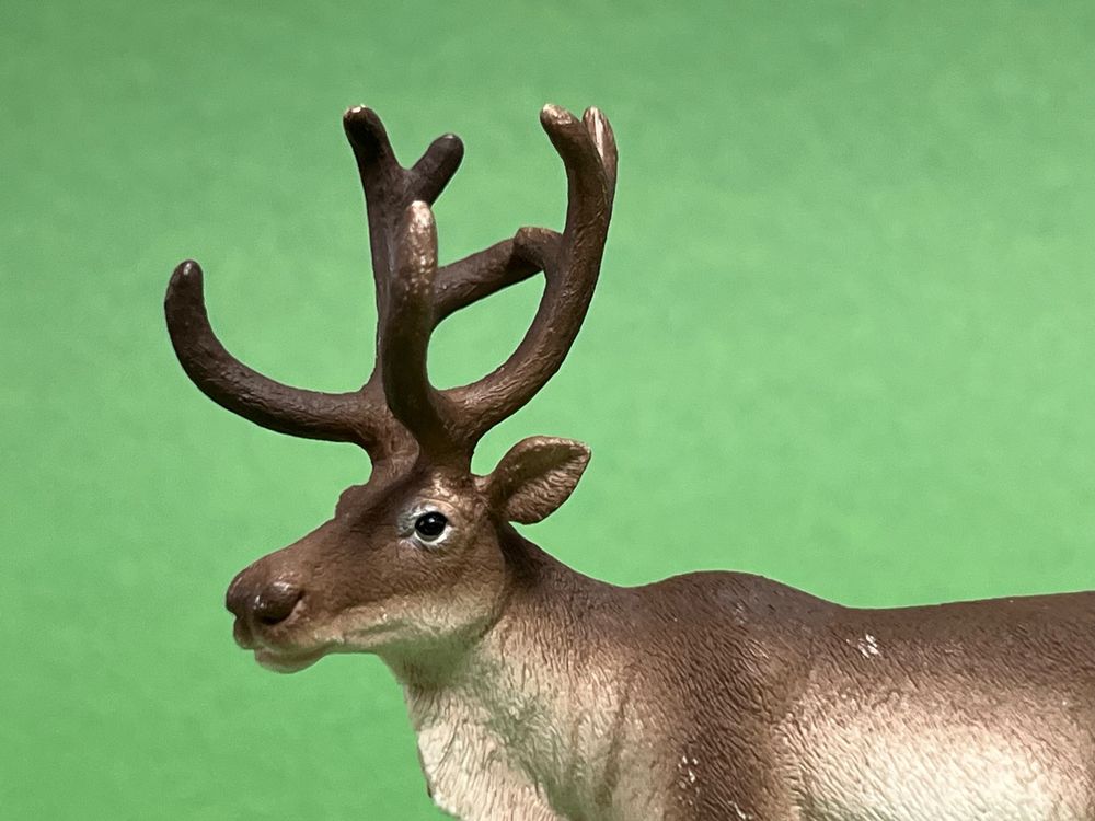 Schleich Rentier Ren | Kaufen auf Ricardo