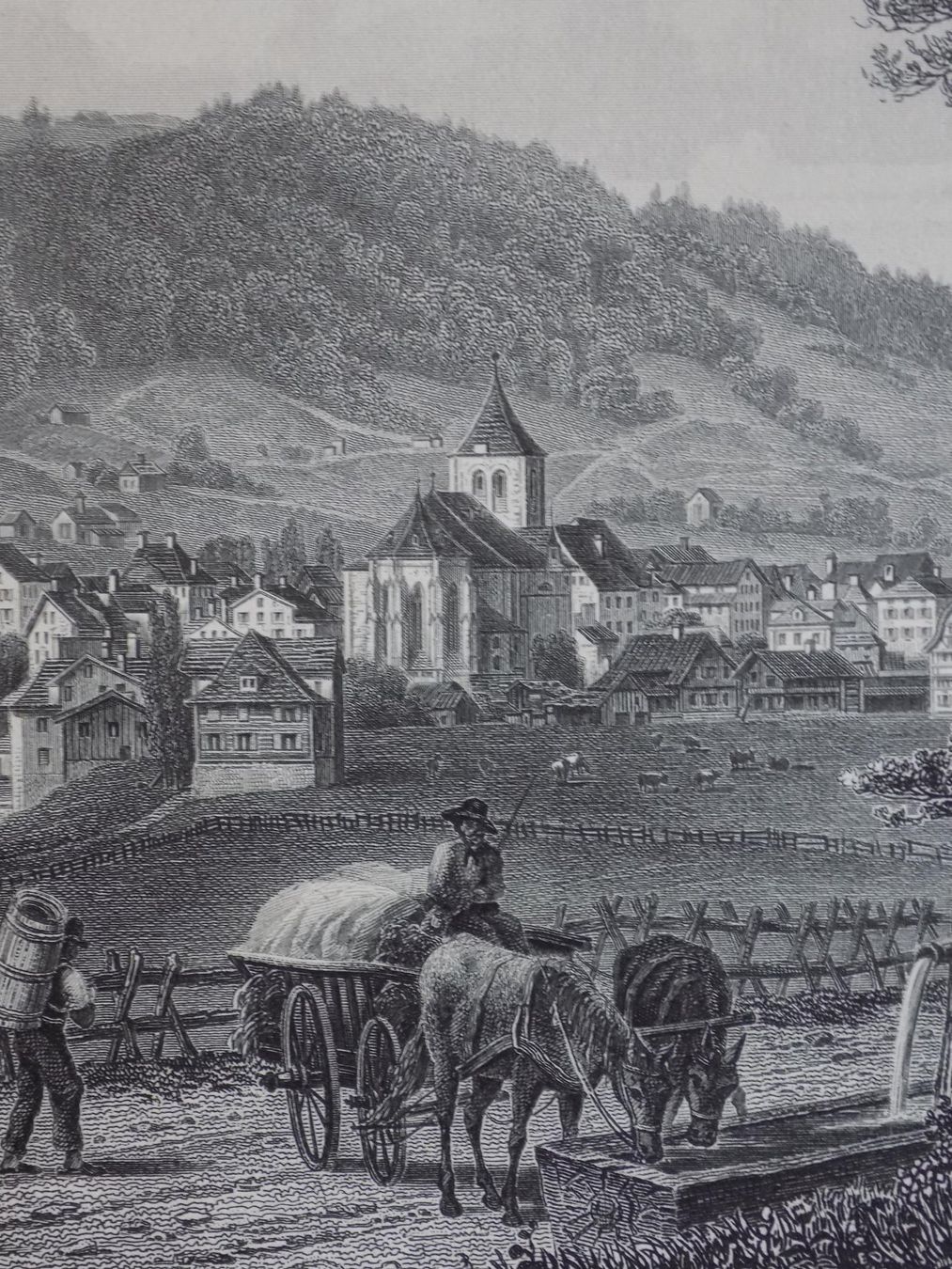 Incisioni: Appenzell Stahlstich – Usato da Risch venduto da Rischli15 4