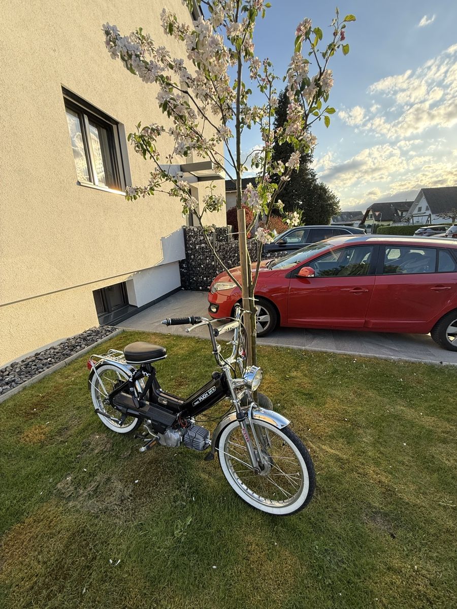 Mofas: Puch Maxi N Revidiert – Gebraucht aus Däniken SO von pet_hv5v