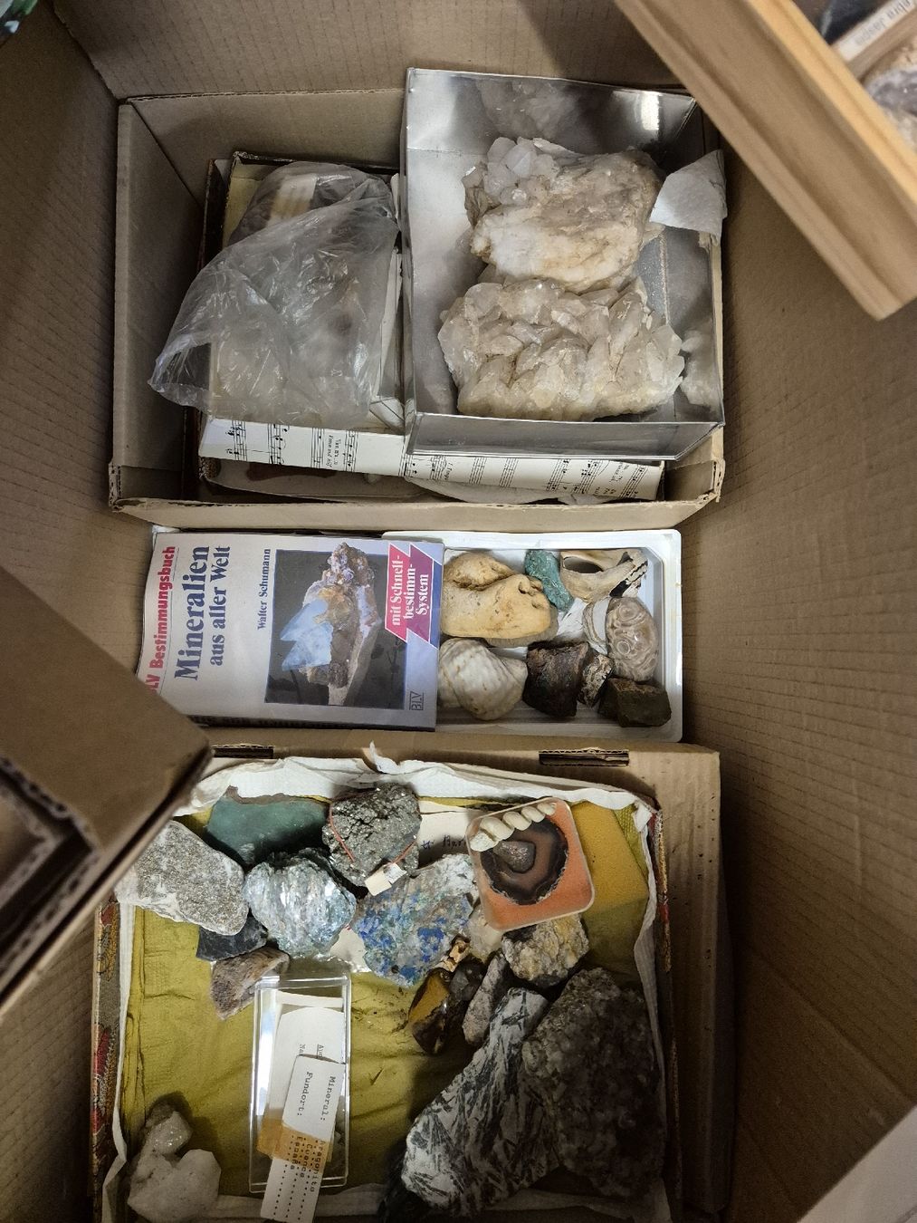 Minerali & Pietre curative: Steinsammlung – Usato da Untereggen venduto da petrol72 2