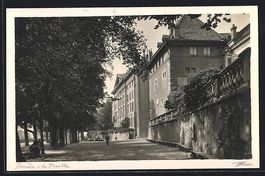 AK Geneve, Promenade de la Treille