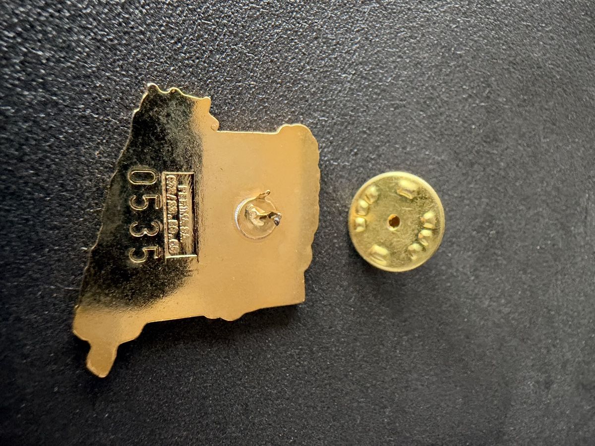 Placchette & Badge: PIN BSG Siesta 0535 – Usato da Remetschwil venduto da At 1