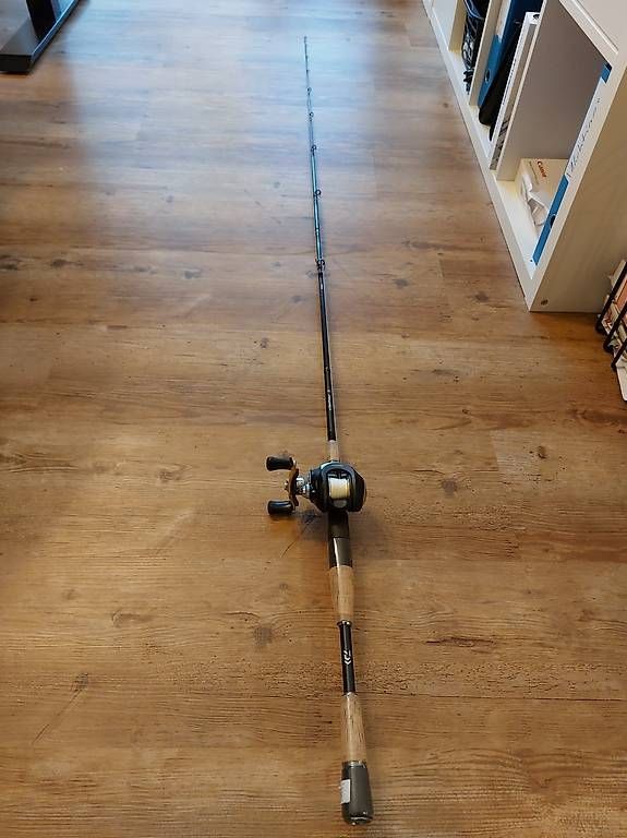 Canne da pesca: Daiwa Jerkbait-Rute & Quantum Baitcastrolle – Usato da Vella venduto da AnMarc93